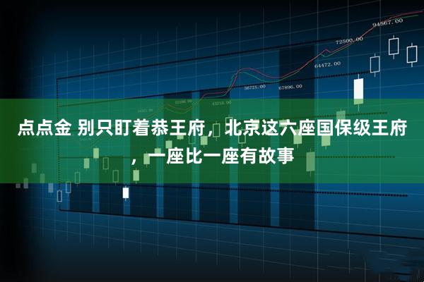 点点金 别只盯着恭王府,北京这六座国保级王府,一座比一座有故事