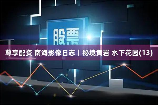 尊享配资 南海影像日志丨秘境黄岩 水下花园(13)