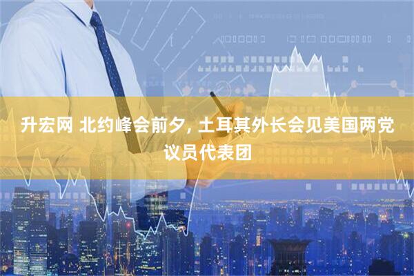 升宏网 北约峰会前夕, 土耳其外长会见美国两党议员代表团